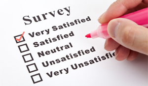 Outsource Survey Processing Services to India